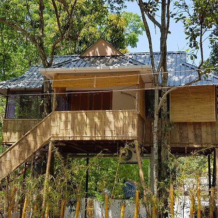Ponmudi Valley Resorts 外观 照片