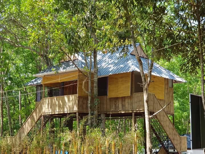 Ponmudi Valley Resorts 外观 照片