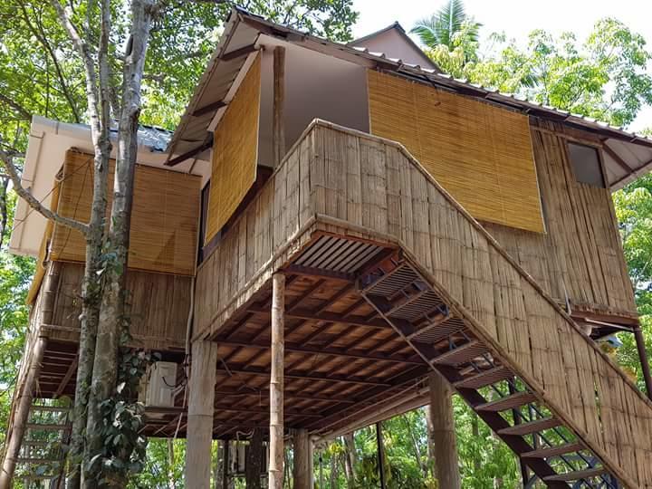 Ponmudi Valley Resorts 外观 照片