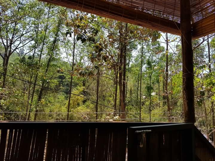 Ponmudi Valley Resorts 外观 照片