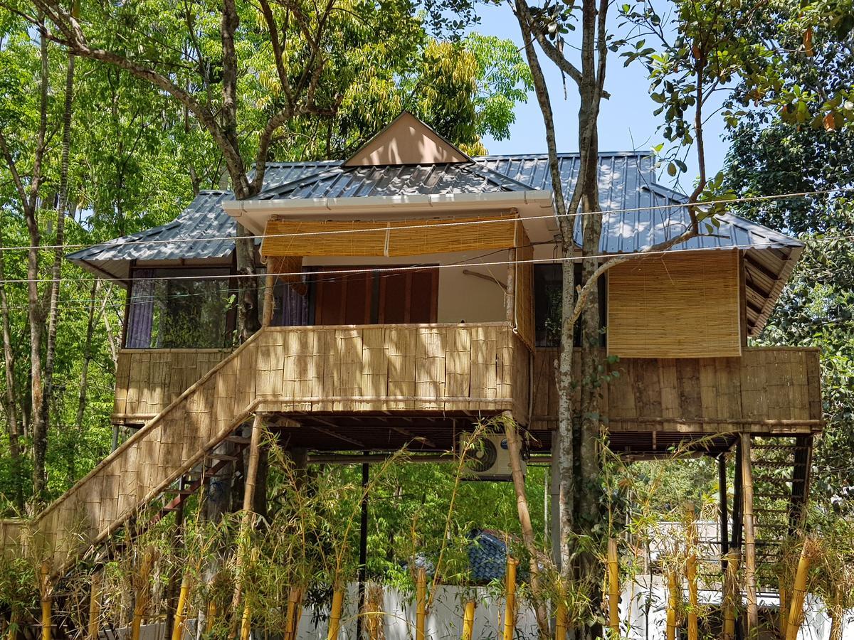 Ponmudi Valley Resorts 外观 照片